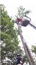 Tree Rescue 70 Feet up in a Tree